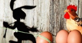 Nachbarschaftsstreitigkeiten
